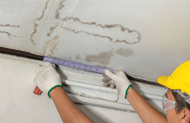 Reliable Water Damage Repair contractor in Syracuse, UT by Hirex Water Damage